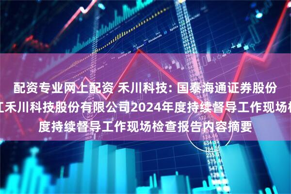 配资专业网上配资 禾川科技: 国泰海通证券股份有限公司关于浙江禾川科技股份有限公司2024年度持续督导工作现场检查报告内容摘要