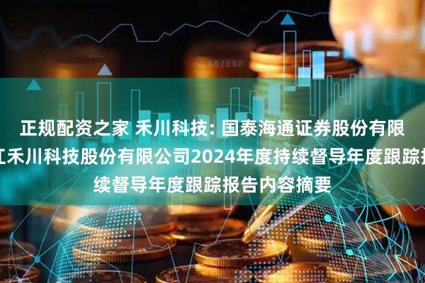 正规配资之家 禾川科技: 国泰海通证券股份有限公司关于浙江禾川科技股份有限公司2024年度持续督导年度跟踪报告内容摘要