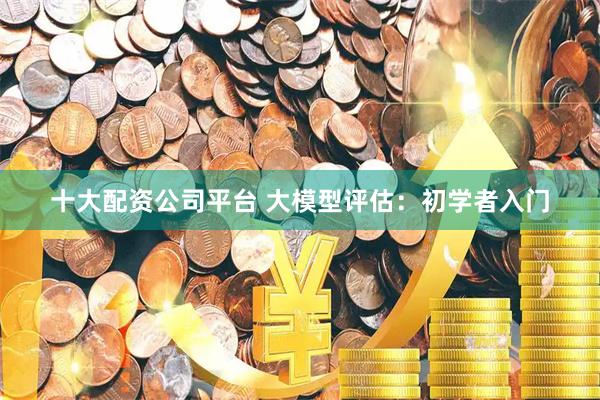 十大配资公司平台 大模型评估：初学者入门